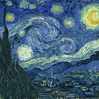 The Starry night (De sterrennacht)