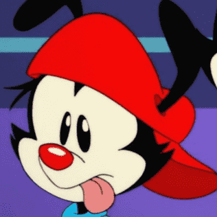 Wakko (Reboot)