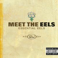 Eels - I Need Some Sleep