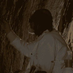 The Archeologist