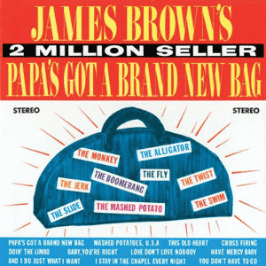 James Brown - Papa's Got A Brand New Bag