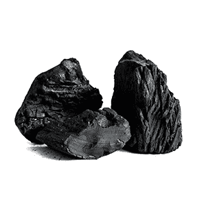 Coal