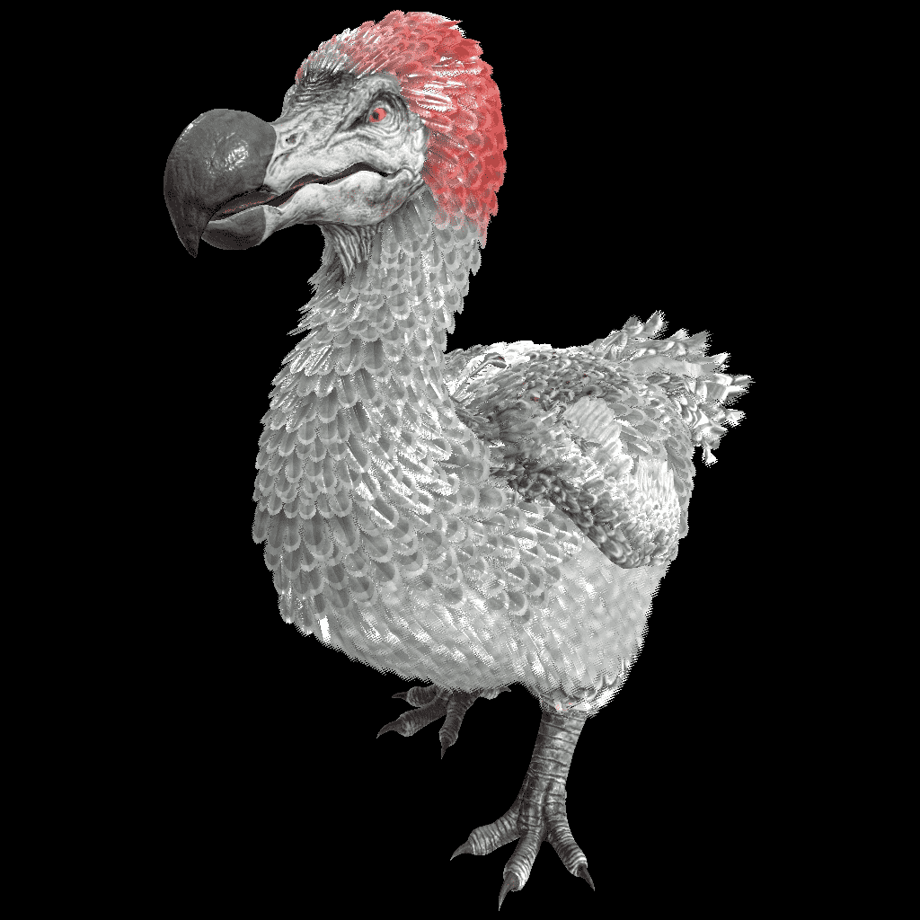 Dodo