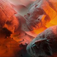 Muse - Kill Or Be Killed