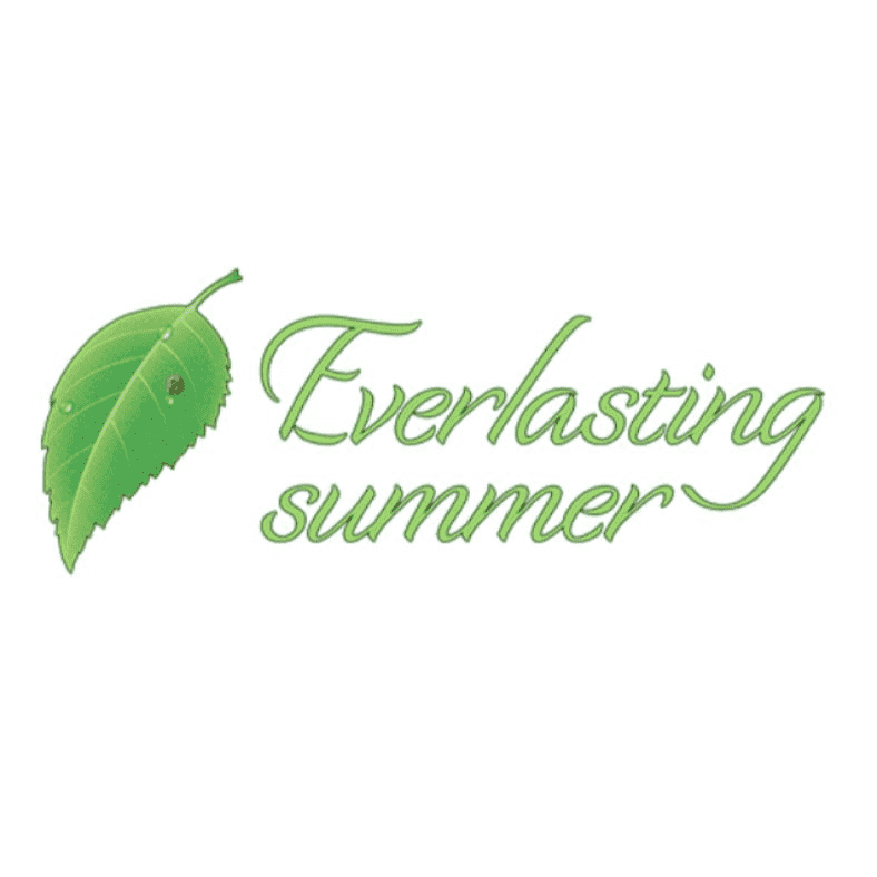 Everlasting Summer (The Game Itself)