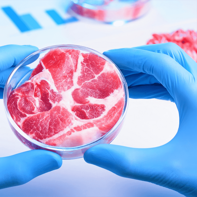 Cultured Meat (lab grown meat)