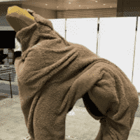 SCP-1545 "Larry the Loving Llama"