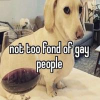 Homophobic Dog