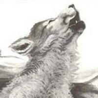 Lobo