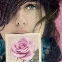 The Language of flowers: An Alphabet of floral emb