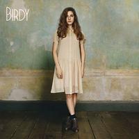 Birdy – Shelter