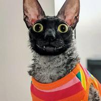 Pixel