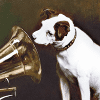 Nipper