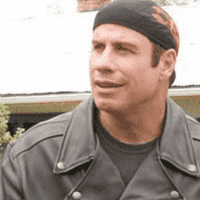 Wild Hogs