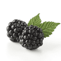 Blackberry