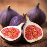 Fig