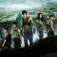 Maze Runner (film series)