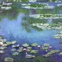 Water Lilies