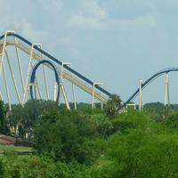 Montu (roller coaster) Personality Type, MBTI - Which Personality?
