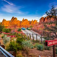 Radiator Springs Racers