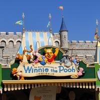 The Many Adventures of Winnie the Pooh (attraction