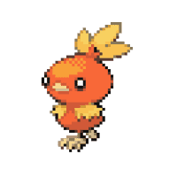 Torchic