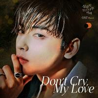Cha Eunwoo (Astro) - Don't Cry, My Love
