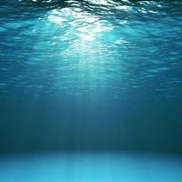 The Ocean