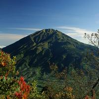 Mount Merbabu