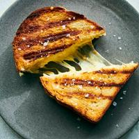 Grilled cheese sandwich