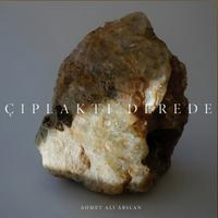 çıplaktı derede - ahmet ali arslan