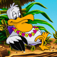 Pelican Sam