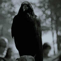 The Raven