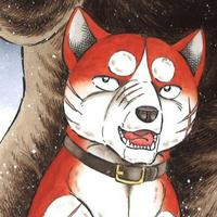 Riki