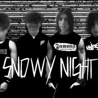 Snowy Night