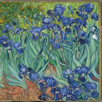 Irises