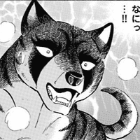 Terumune kurohabaki