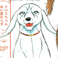 🔥 Ginga Densetsu Weed: Orion MBTI Personality Type - Anime & Manga