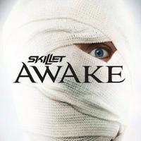 Skillet - Awake and Alive