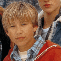 Wild America (1997)