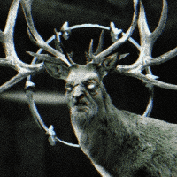 SCP-2845 "THE DEER"