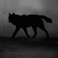 SCP-023 "Black Shuck"