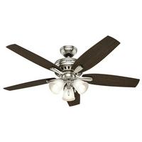 Ceiling fan