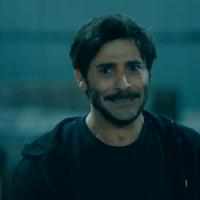 Şesu