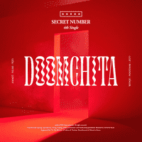 SECRET NUMBER - DOOMCHITA