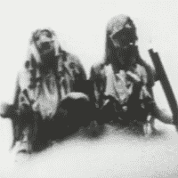 The Cannibals