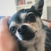 Marbles