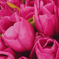 March