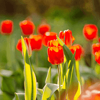 April