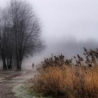 November